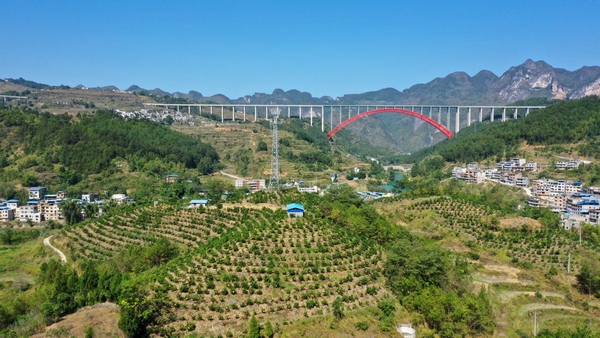 罗甸县沫阳镇董当村脐橙种植基地。