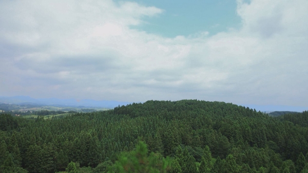 圖為無人機航拍黎平縣國有東風林場。