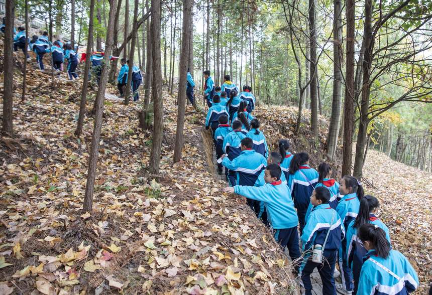 2022年11月14日，施秉县第一小学学生在施秉县甘溪乡望城农耕研学实践基地开展穿越丛林活动。
