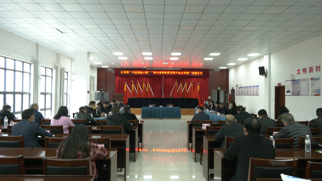 “中國刺梨小鎮”“貴州省刺梨研究院產業示范鎮”授牌儀式暨刺梨產業發展座談會舉行。