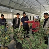 11月21日，黔西南州農業林業科學研究院院長龍聲衛一行到貴州省林業科學研究院調研。