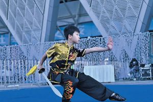 赛武术贵阳市第十四届运动会竞技体育组武术套路比赛在奥体中心外广场举行……