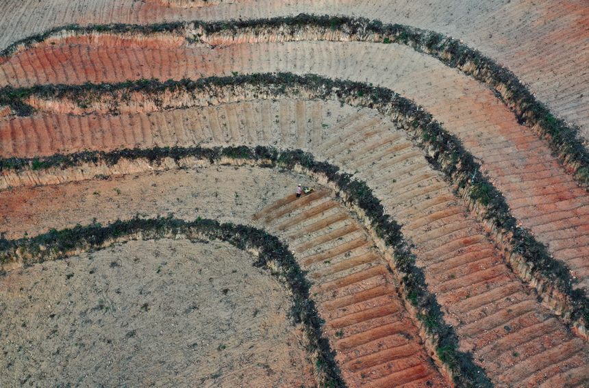12月5日，村民在太子參種植基地用微耕機在翻整土地（無人機照片）。
