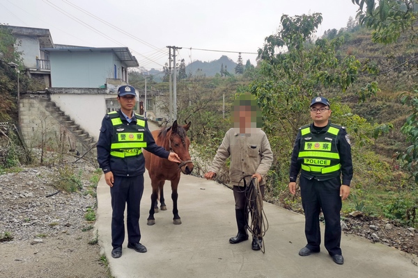 在深山里找回了丢失马匹。