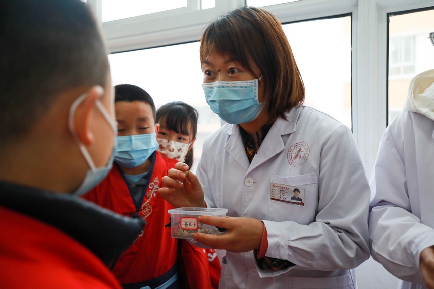 12月13日，醫院工作人員教同學們辨認中草藥。