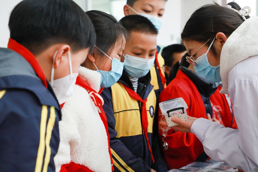 12月13日，医院工作人员教同学们辨认中草药。