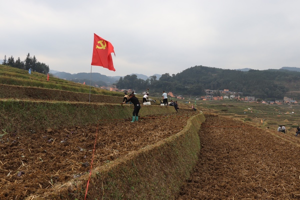 盘州市新民镇：让党旗在田间飘扬。
