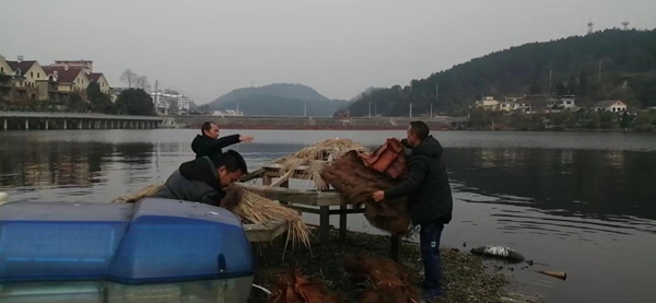 正在搭建鸟栖岛