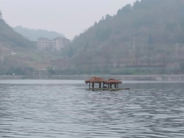 搭建后的鸟栖岛