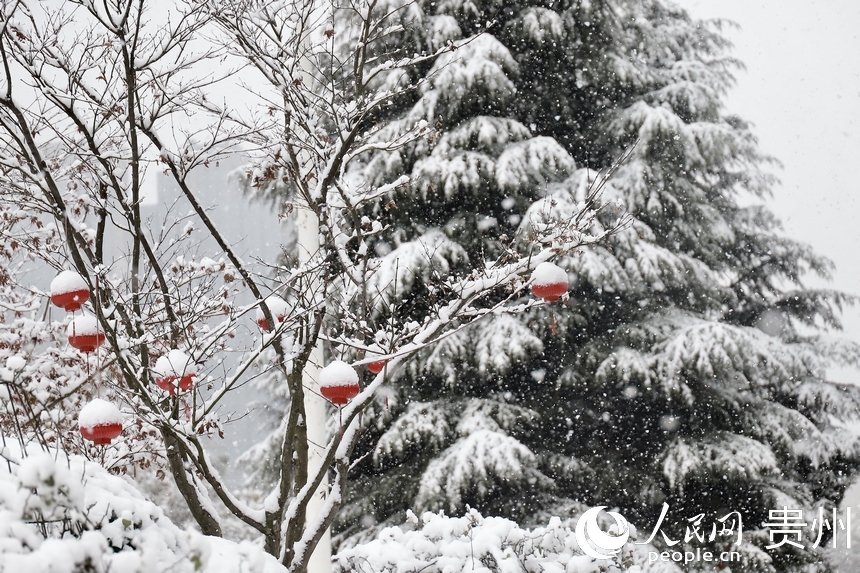 被白雪覆蓋的紅燈籠。人民網 顧蘭雲攝