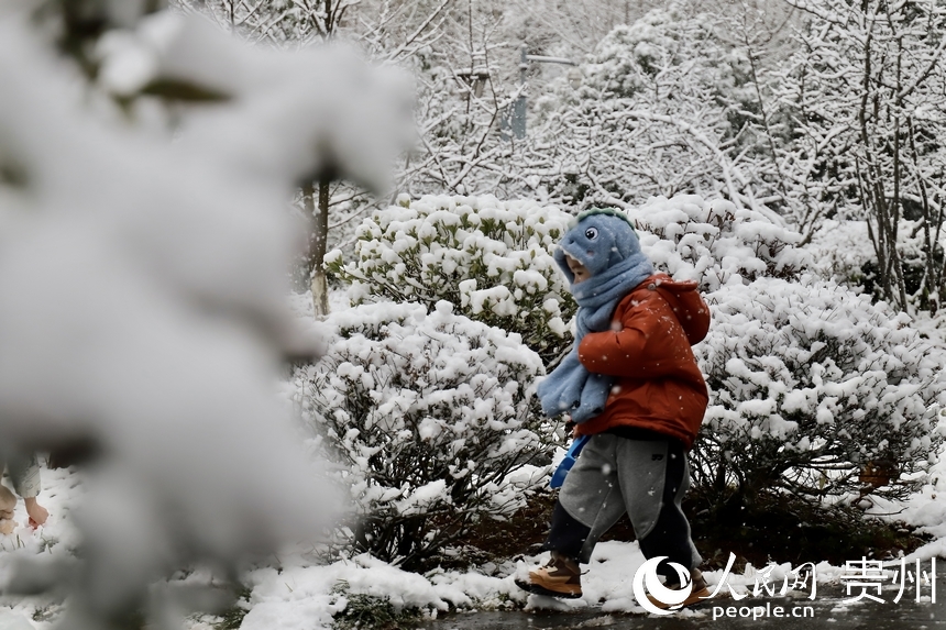 小朋友在觀山湖公園內玩雪。人民網 顧蘭雲攝