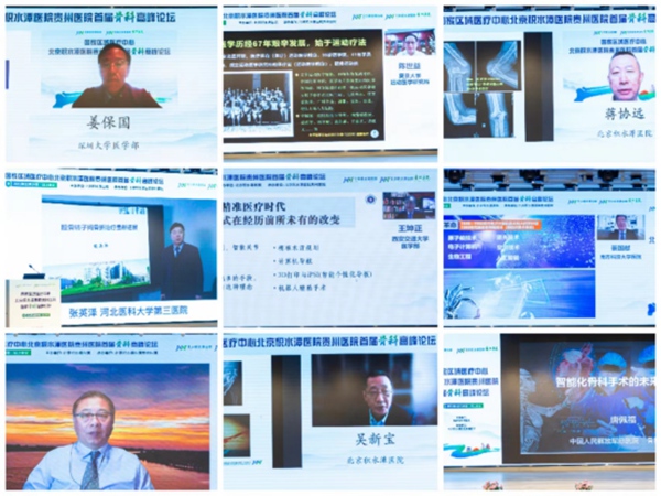 专家相聚云端。