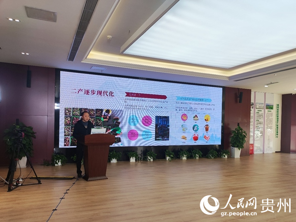 相關負責人進行項目推介。人民網 李麗萍攝
