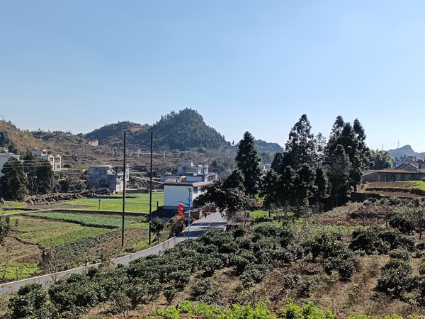 1.白河村。