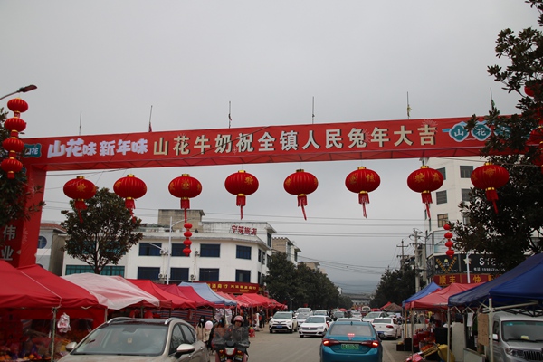 龙岗镇“迎春”彩门。
