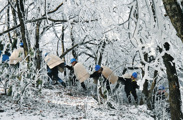 在貴州畢節威寧雪山鎮，貴州電網公司畢節威寧供電局“披氈戰隊”手拉手穿過冰林。 羅凱攝