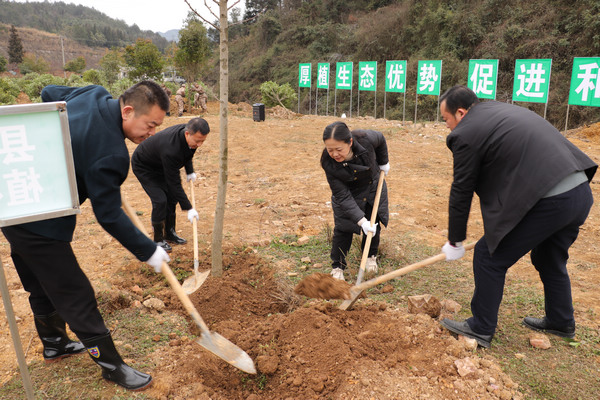 开阳县举行2023年义务植树活动。