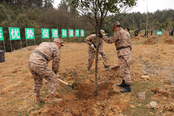 开阳县举行2023年义务植树活动。