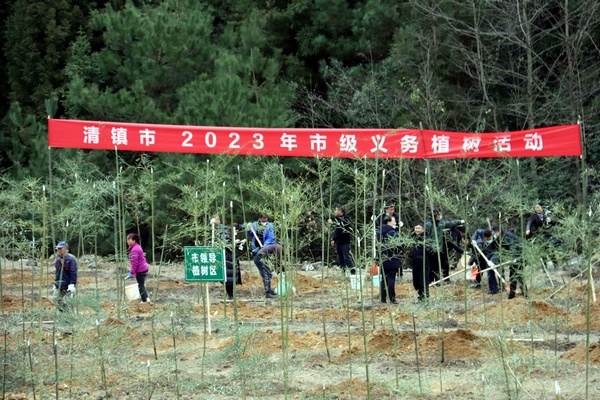 1月28日，清镇市干部职工植树场景。杨洪金摄