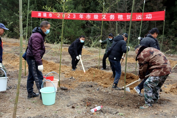 1月28日，清镇市干部职工植树场景。杨洪金摄