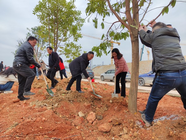 县委宣传部与县委政法委领导带队参加全县机关义务植树活动。