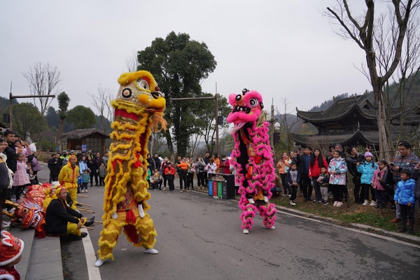 2月4日，清鎮市鄉愁貴州景區舞獅表演。代勝強攝