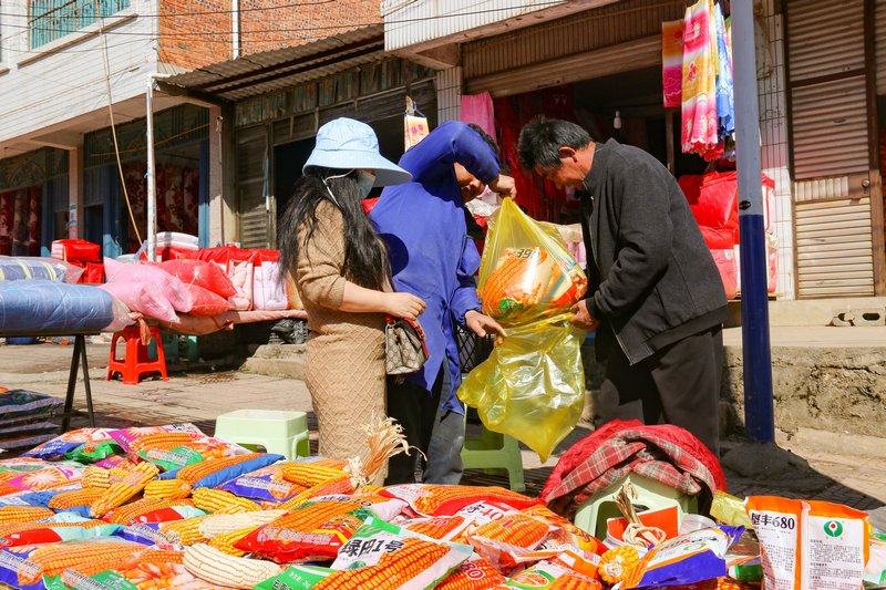 2月6日，威寧縣金鐘鎮群眾在銷售點購買種子。
