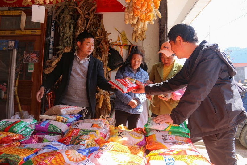 2月6日，威宁县金钟镇群众在销售点购买种子。