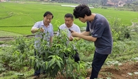 黎平：强化科技赋能 助力乡村振兴