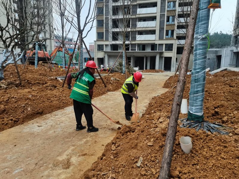 插图4新蒲新区美的·悦江府项目施工现场.jpg
