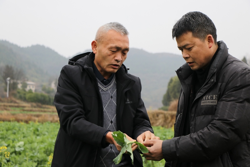 农技人员正在与种植大户交流。