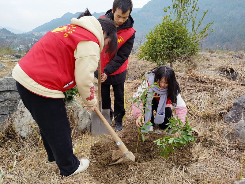 4.携手植绿促发展 志愿者相互合作植树。冷雪刚摄