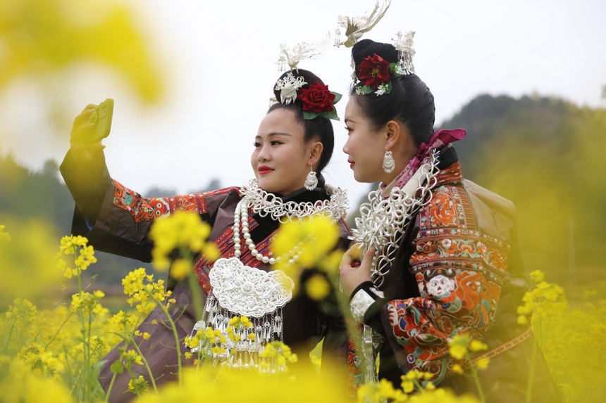 2023年2月16日，施秉县马号镇老县村油菜花盛开，游人在花间赏花游玩，拍照打卡。
