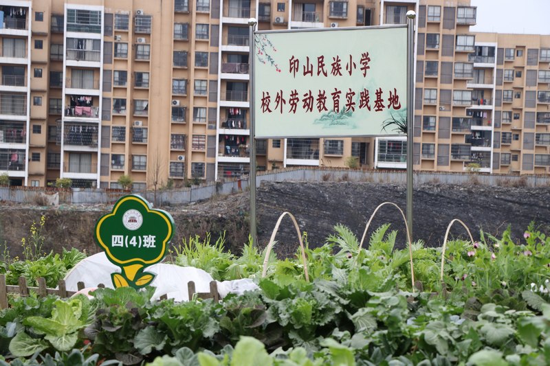 印山民族小學校外勞動教育實踐基地。