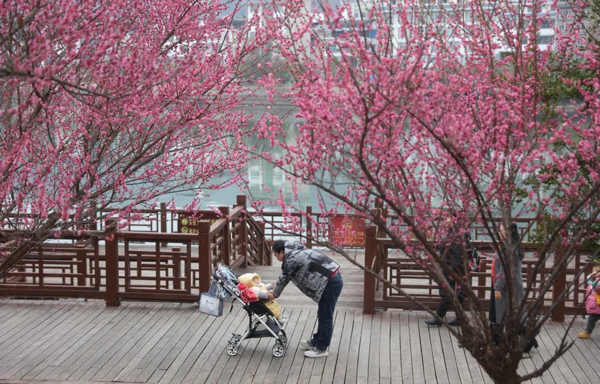 2023年2月20日，一對父子在貴州省施秉縣河濱公園游玩。