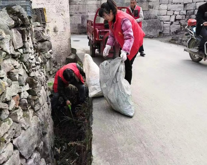 志愿者清理河道沟渠。