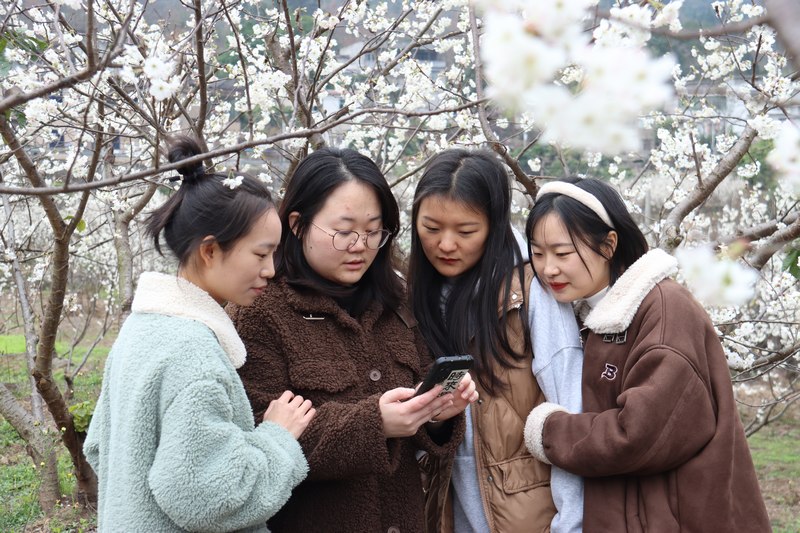 2月22日，游客赏花拍照打卡。