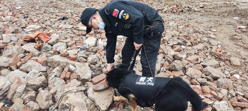 2、充分發揮犬在偵查中的作用。