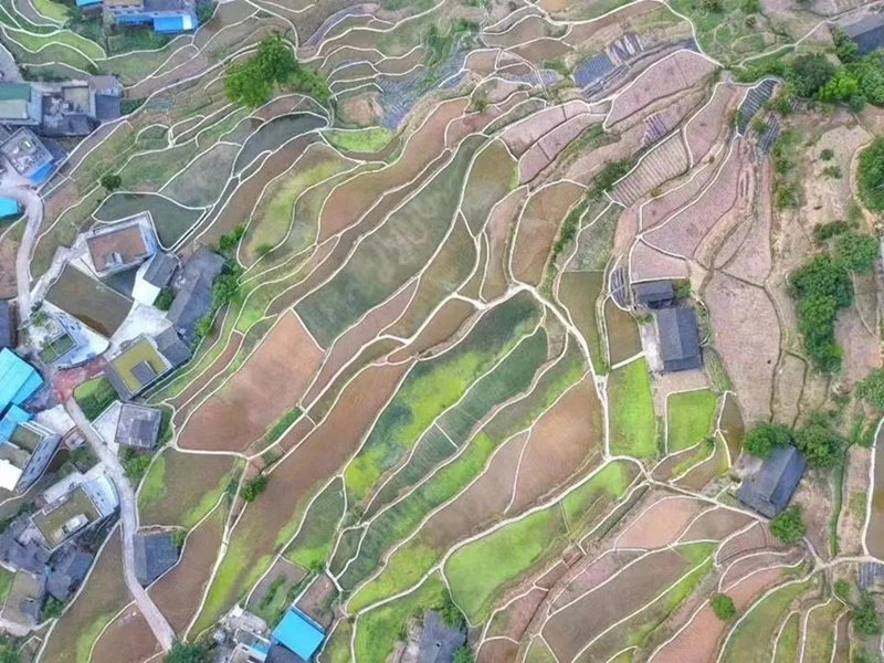 近日，同民镇兴隆村、红旗村“以工代赈”项目建成后，梯田层次递进，宛如大自然的调色盘。 谢永恒 摄