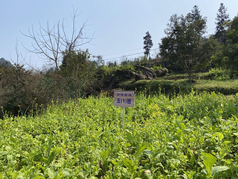 农作物种植试验基地。