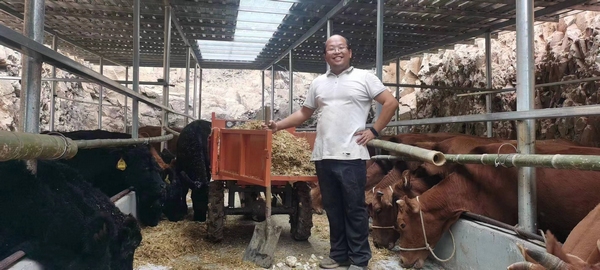 黎平县孺子牛种养殖农民专业合作社基地。