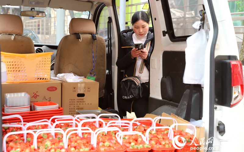 “三八”婦女節當天，在貴陽市南明區一婦女兜售草莓。人民網 顧蘭雲攝