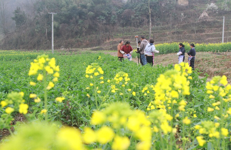 3月7日，工作人员在贵州省大方马场镇新丰村在丈量土地。（郑永扬 摄）.jpg