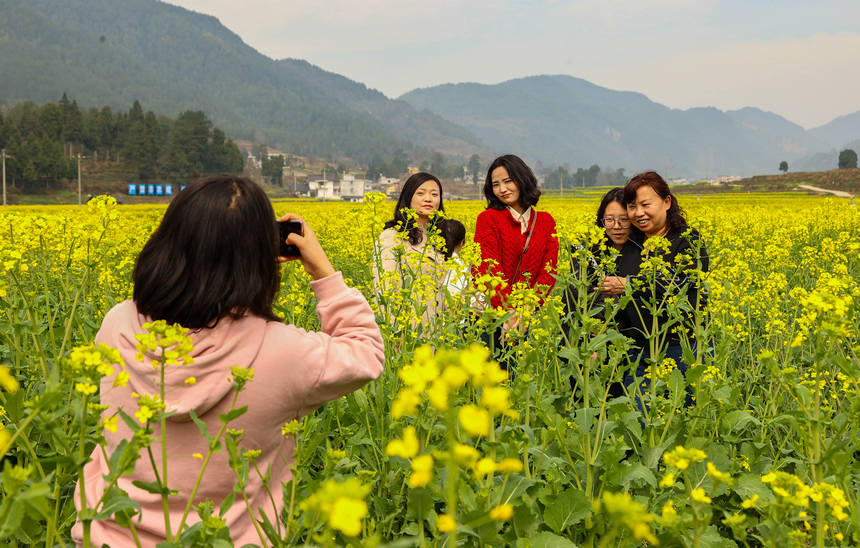 游客在油菜花間拍照。