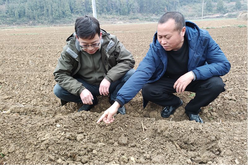 开阳县农业农村局相关技术人员深入田间地头开展技术指导服务。