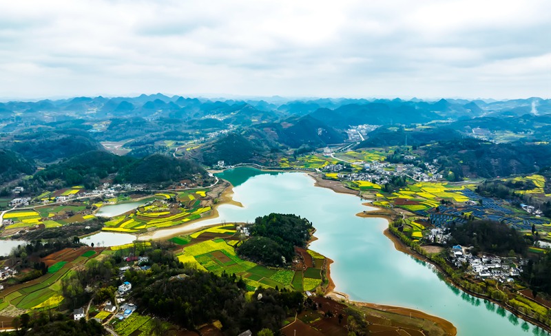2023年3月13日，贵州省黔西市绿化白族彝族乡大海子村菜花盛开的景色。