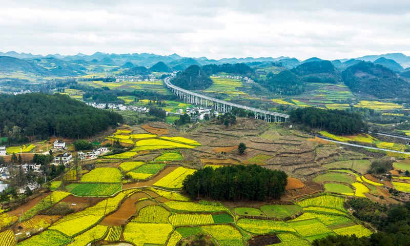 2023年3月13日，贵州省黔西市绿化白族彝族乡大海子村菜花盛开的景色。