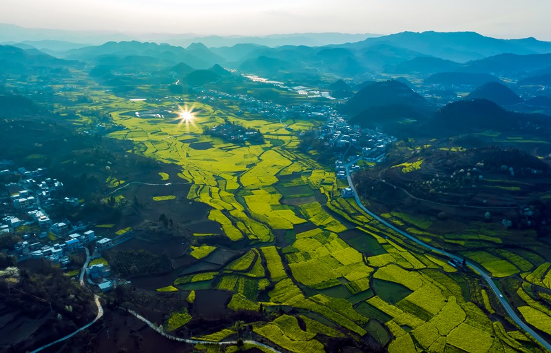 2023年3月13日，贵州省黔西市锦星镇木渣黑社区菜花盛开的景色。