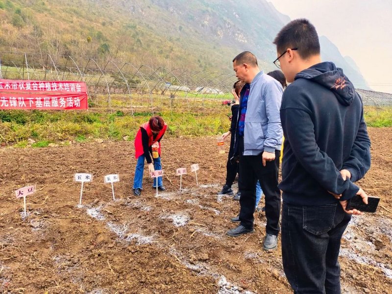 農技專家到田間地頭現場指導培訓。