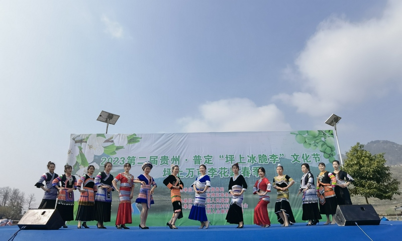 第二届贵州·普定“坪上冰脆李”文化节 坪上万亩李花踏春季活动开幕。